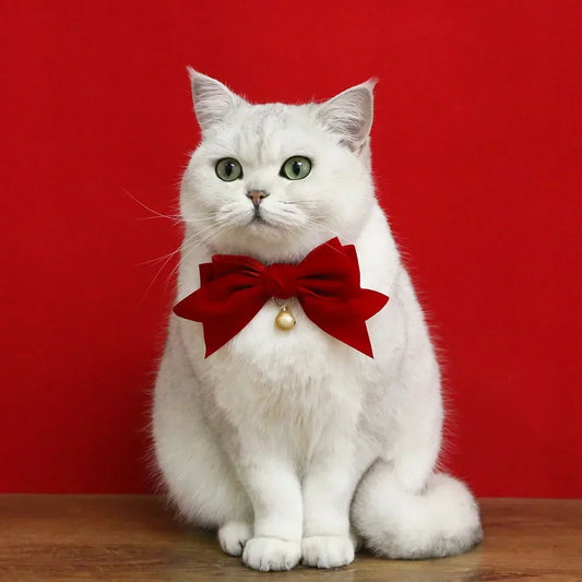 Soft Velvet Cat Collar Breakaway Puppy Kitten Collar Red Pink Bow Small Dog Collar Adjustable Safety Buckle Cat Bow Pet Supplies