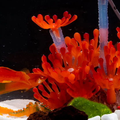 Artificial Underwater Coral  Aquarium Fish Tank Simulation Decoration Aquarium Backgrounds Plants Water Grass Accessories Home