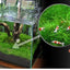 5Pcs Stainless Steel Aquarium Plant Net Aquatic Moss Plants Landscaping Aquatic Fish Tank Decoration Accessories 8cmx8cm acuario