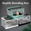 Foldable Reptile Feeding Box Anti-Drop with Screen Ventilation Spider Lizard Reptile Terrarium Hatching Container Habitat