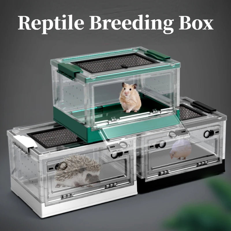 Foldable Reptile Feeding Box Anti-Drop with Screen Ventilation Spider Lizard Reptile Terrarium Hatching Container Habitat