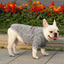 Pet Dog Clothes Knitwear Dog Sweater Soft Thickening Warm Pup Dogs Shirt Winter Puppy Sweater for Dogs Casual Pet Cat Clothing