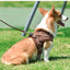 Dog Harness Dog Traction Rope Corduroy Breathable Dog Chest Strap Reflective Pet Chest Strap Walking Rope Set