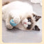 Funny Cat Ball Pet Toy Ball Gravity Rolling Ball Cat Self-Happiness Ball Bite-resistant and Boredom Relieving Automatic Rolling