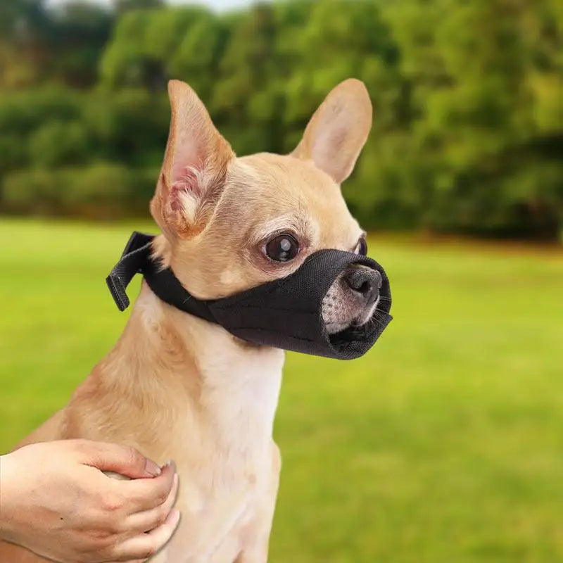 Dog Muzzle Short Snout Air Mesh Breathable Muzzle for Small Medium Dogs Adjustable Muzzle for Dogs Soft Grooming Muzzle Dog