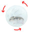 Hamster Exercise Balls With Traction Rope Transparent Hamster Running Ball Wheel Safe Hamster Exercise Balls Pet Supplies