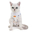 Cat Sleeveless Shirt Cat Recovery Suit Breathable E-Collar Alternative Vest for Cat Small Puppy Cute Printed Cotton Pet Clothes