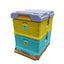 Functional plastic beehive Lang style beehive in bee bee hive