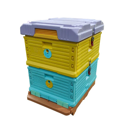 Functional plastic beehive Lang style beehive in bee bee hive