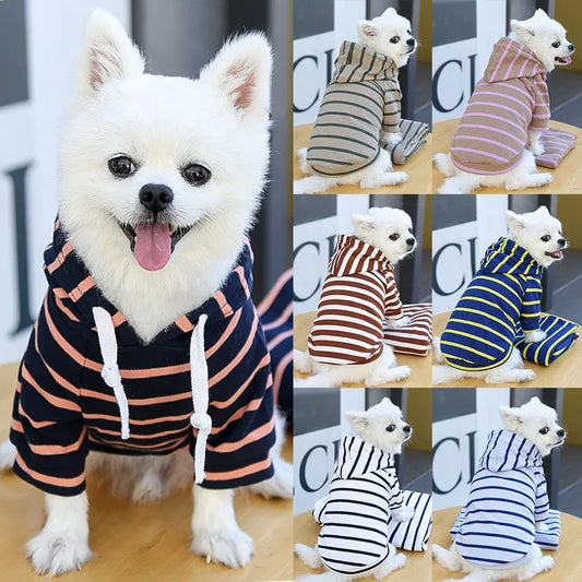 2023New Spring Summer Dog Hoodies Puppy Small Dog Costume Shirt Yorkshire Terrier Pomeranian Bichon Poodle maltese Clothing Coat