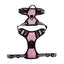 Pet Dog Harness Reflective Adjustable Breathable Vest Chest Strap for Small Medium Big Dogs Cats Collar Harness Dog Accessoires