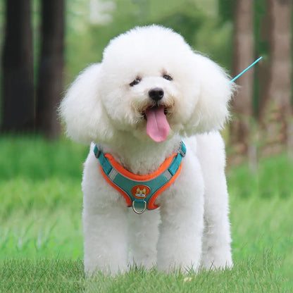 Step-in Dog Harness Small Dog Harness and Leash Set Adjustable Reflective Pet Dog Vest Soft Harness for Puppy Small Medium Breed