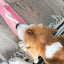 Dog Water Bottle Water Dispenser For Dogs Leak Proof Dogs Water Dispenser Bowl Puppy Drinking Bowl With Drinking Feeder Outdoor