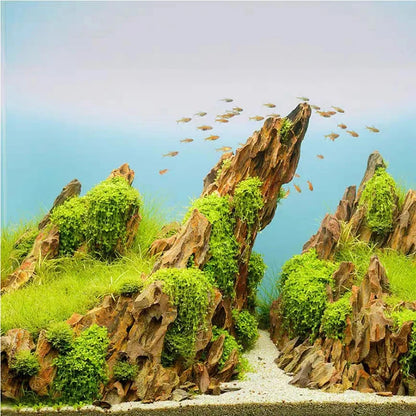 Natural Aquarium Decoration Stone Rockery Landscaping Fish Tank  Porous Pine Stone Beautiful Landscape Good for Plants Growth