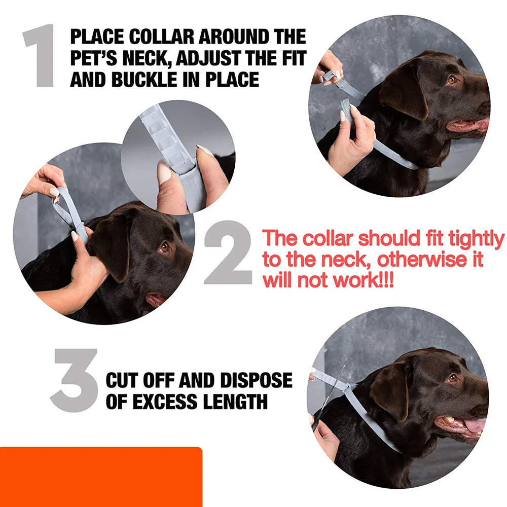 8 Month Protection Flea & Tick Collar Insect Prevention Silicone Cat Necklace Wear Resistant Anti-mosquito Pet Supplies Teddy
