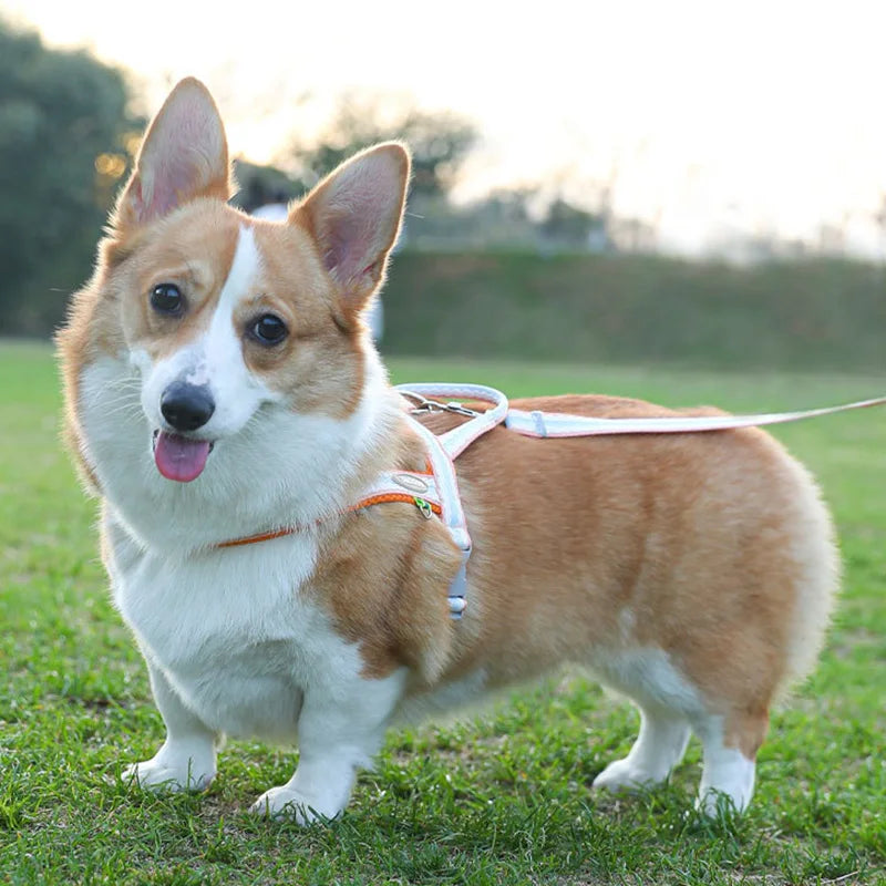 Saddle Style Corgi Puppy Dog Harness and Leash Set Portable Pet Harnesses for Small Medium Dogs mascotas Accessories Supplies