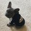 Adidog Pet Sweatshirt Dog Hoodies for Small Medium Dogs, Autumn Winter Fleece Lined Dog Clothes Puppy Chihuahua Coat Clothing