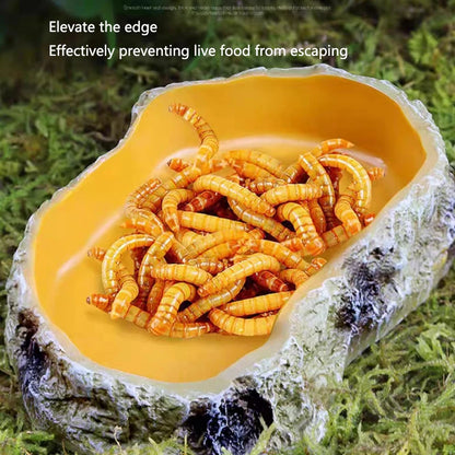 Pet Reptile Feeder Bowl Resin Aquarium Basin Food Water Pot Reptile Turtle Tortoise Scorpion Lizard Crabs Feeding Supplies New