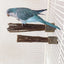 Natural Apple Tree Wood Pet Parrot Raw Wood Fork Tree Branch Stand Rack Squirrel Bird Hamster Branch Perches Chew Bite Toys New
