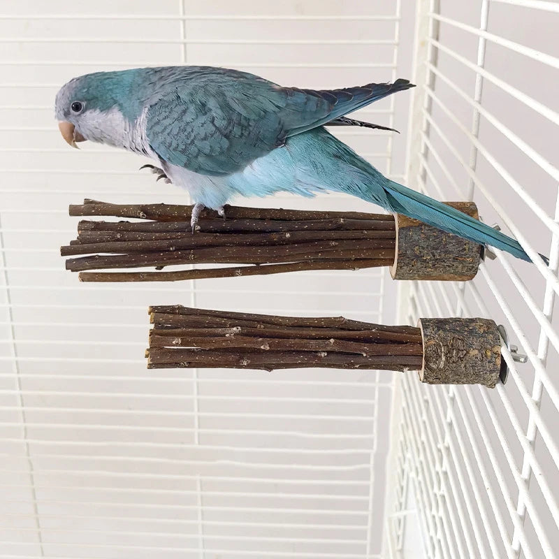 Natural Apple Tree Wood Pet Parrot Raw Wood Fork Tree Branch Stand Rack Squirrel Bird Hamster Branch Perches Chew Bite Toys New