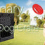 Dog Kennels Customized Size Raised Luxury Aluminum