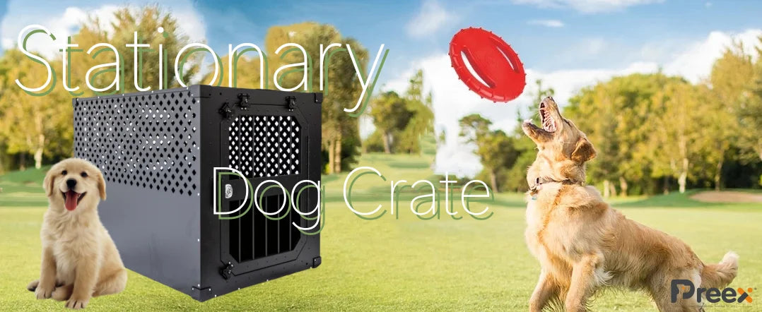 Dog Kennels Customized Size Raised Luxury Aluminum