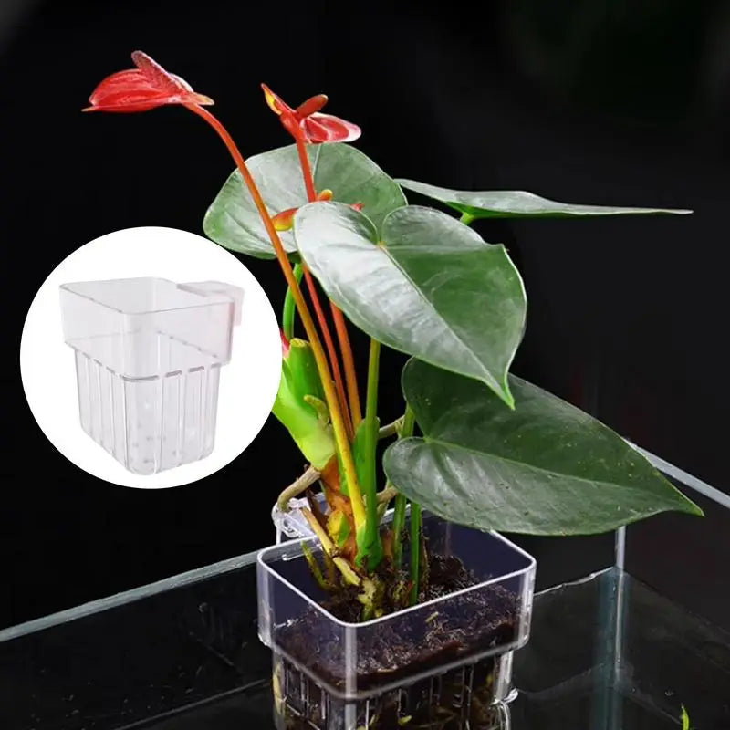 Aquarium Plant Basket Transparent Aquarium Decorations Plants Pot Aquatic Plants Holder Aquatic Plant Cup Aquascape Decor