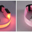 LED Dog Collar USB Rechargeable - Bright & High Visibility Lighted Glow Collar for Small Medium Large Breeds Pet Night Walking