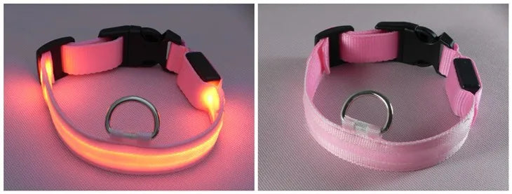 LED Dog Collar USB Rechargeable - Bright & High Visibility Lighted Glow Collar for Small Medium Large Breeds Pet Night Walking