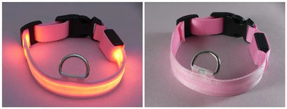LED Dog Collar USB Rechargeable - Bright & High Visibility Lighted Glow Collar for Small Medium Large Breeds Pet Night Walking