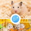 Hamster Exercise Balls With Traction Rope Transparent Hamster Running Ball Wheel Safe Hamster Exercise Balls Pet Supplies