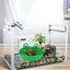 Frog Habitat Cute Frog Shaped Wall-Mounted Tank Decoration For Frog Cute Frog Terrarium Decor Fish Tank Tree Frog Habitat For