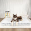 Dog Mat Fluffy Bed Cushion Accessory Supplies Pets Dogs Accessories Basket Baskets Big Small Pet Products Large Beds Sofa Cats
