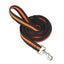 Dog Heavy Duty Durable Telescopic Nylon Dog Rope Comfortable Padded Handle Rope High-elastic Dog Safety Belt For Car