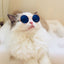 Anti-slip Cat Sunglasses Pet Accessories Small Dog Sun Glasses Classic Retro Circular Glasses for Kitten Photos Props Cosplay