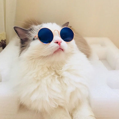 Anti-slip Cat Sunglasses Pet Accessories Small Dog Sun Glasses Classic Retro Circular Glasses for Kitten Photos Props Cosplay