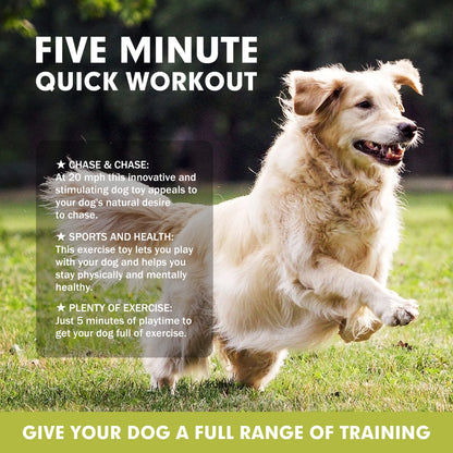 Interactive Dog Toys, Lure Course Machine for Dogs, Agility Training Equipment for Dogs, Pet Chase Toys,