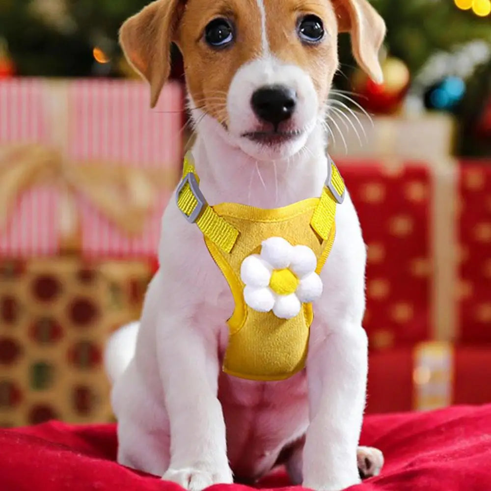 Dog Harness Vest Set Cat Clothes Small Dogs Reflective Breathable Adjustable Outdoor Walking Chest Strap Pet Supplies