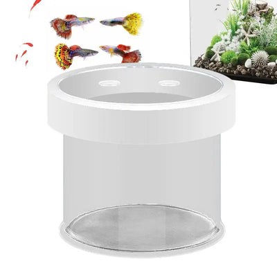 Floating Hatching Box Fish Tank Hatching Incubator Acrylic Aquarium Breeder Feeder Fine Mesh Aquarium Breeder Box Fish Breeding