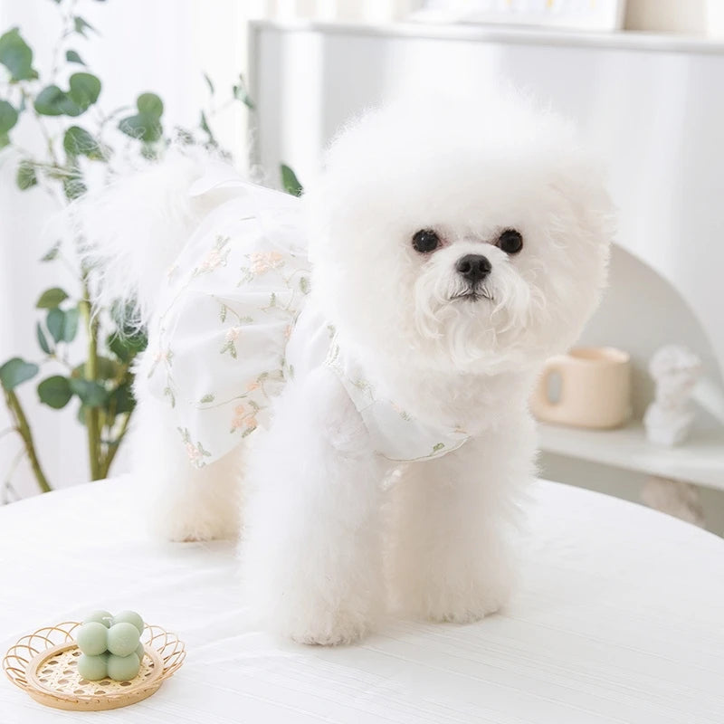 Summer Dog Dress Luxury Dog Clothes Pet Dog Apparel Bow Puppy Mesh Skirt Chihuahua Bichon Clothing Kitten Lace Dog Cooling Vest