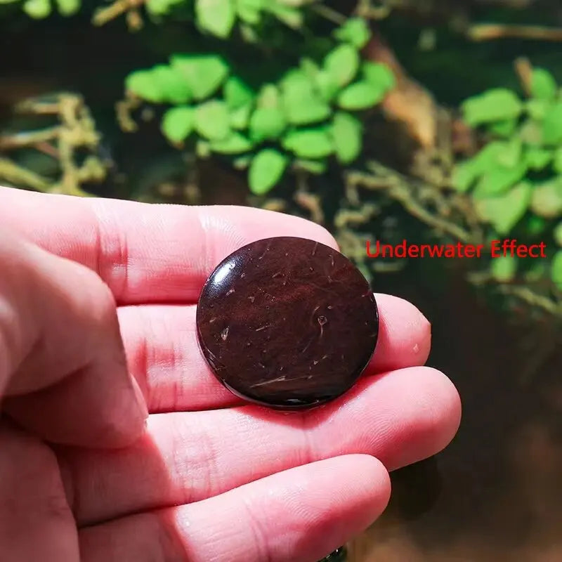 10/20/50PcsNatural Coconut Shell Wood Aquarium Decoration Circular Slice Artwork Decor Landscaping Fish Tank Ornament Background