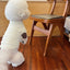 Fashion Pet Dog Bottoming Shirt Puppy Solid Color Clothes Winter Teddy Warm Two Legged Clothing Pet Poodle Pullover Dog Jackets
