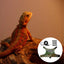 Bearded Dragon Leashes Escape Proof Adjustable Lizard Reptiles Harness Bearded Dragon Harness Leashes Adjustable Lizard Ropes