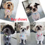 20pcs Dog Acccessories Dog Bow Tie  Bulk Dog Collar Bow Dog Bowtie Small Dog Cat Pet Supplies Dog Fashion Accessoreis Bow
