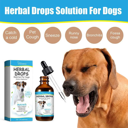 Pet Cough Herbal Drops Cough Soothing Relief Reduce Dog Discomfort Medicin Throat Strengthen Treatment Sneezing Calming Imm V0A3
