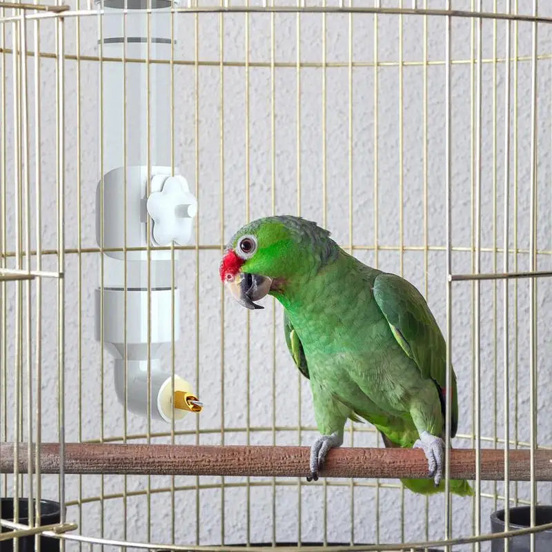 Birds Water Feeder Automatic Bird Cage Suspended Waterer Parakeet Water Dispenser Budgie Drink Acrylic Drinker Bottle For Canary