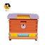 Heat Preservation Plastic Thermo Honey Bee Hive Langstroth 1 Layer 10 Frame Multifunction Bee Box Color Beehive House Apiculture