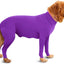 Four Feet Lightweight Pajamas Pure Dog Jumpsuits Tight Dog Coat Nursing Clothes Bodysuit For Small Medium Large Dogs Pet Costume