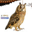 Farm Protector Bird Scarer Owl Scarecrow Scarer Pendant Garden Protector Pendant Waterproof With Bell Fake Bird Scarecrow Bird