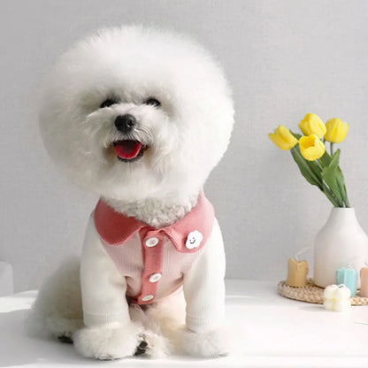 Fashion Thin Dog Hoodies Clothes for Dogs Solid Dog Coat Cotton Undershirts Kitten Puppy Sweatshirt Chihuahua Girls Dog Costume